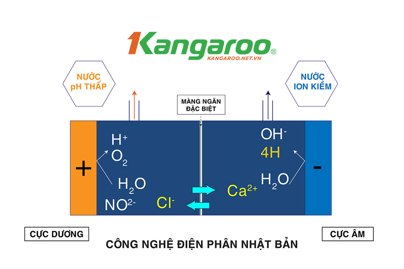  Lõi lọc nước kiềm giàu Hydrogen T505 giúp phân tách phân tử làm tăng tính kiềm trong nước