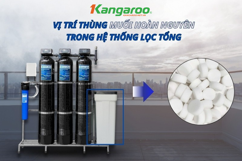 Muối hoàn nguyên lọc tổng