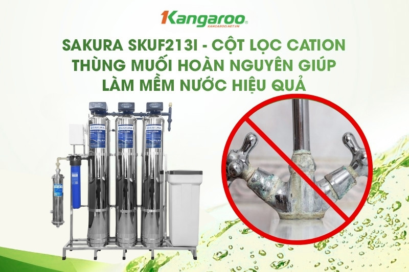 Cột lọc Cation kết hợp với muối hoàn nguyên làm mềm nước hiệu quả