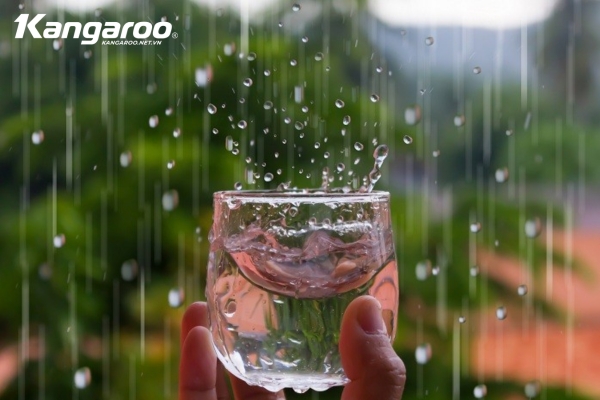 Nước mưa có tác dụng rửa sạch không khí