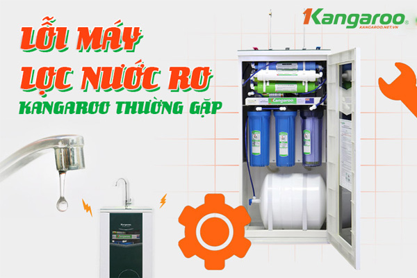 Loi-may-loc-nuoc-RO-thuong-gap