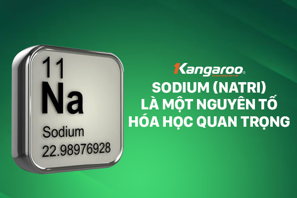 Sodium (Natri) là một nguyên tố hóa học quan trọng