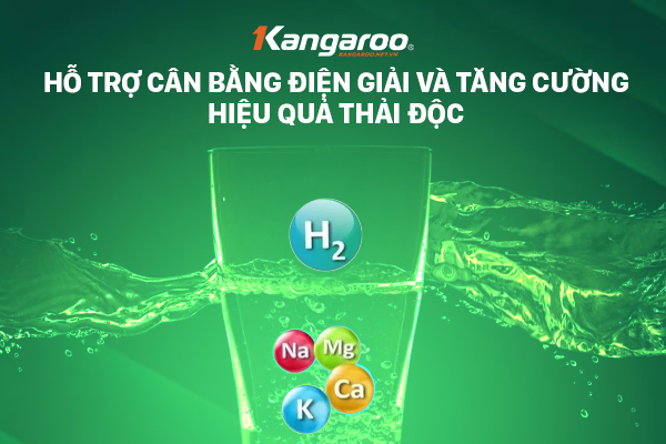 Hỗ trợ cân bằng điện giải và tăng cường hiệu quả thải độc