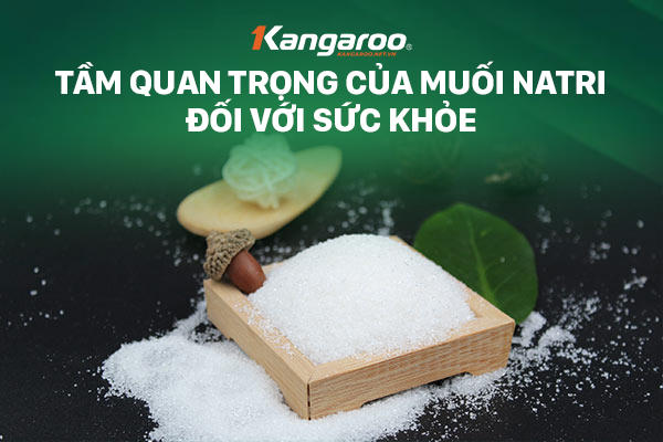 Tầm quan trọng của muối Natri đối với sức khỏe