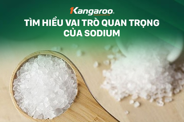 Tìm hiểu vai trò quan trọng của Sodium