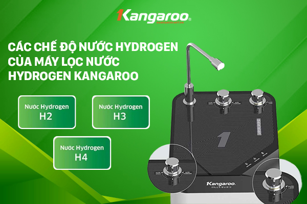 Các chế độ nước hydrogen của máy lọc nước Kangaroo