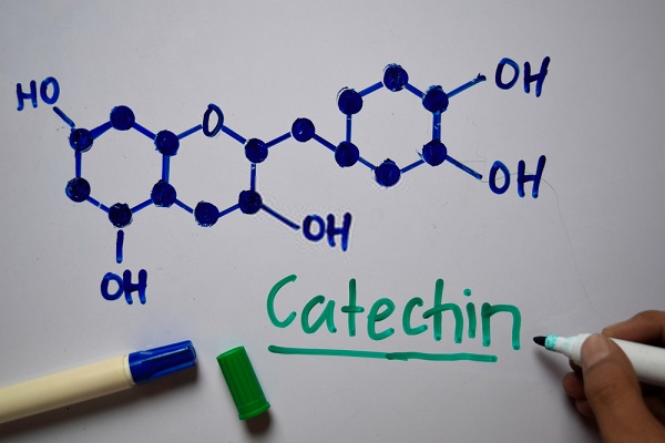 Catechin là gì? Catechin trong lá trà xanh