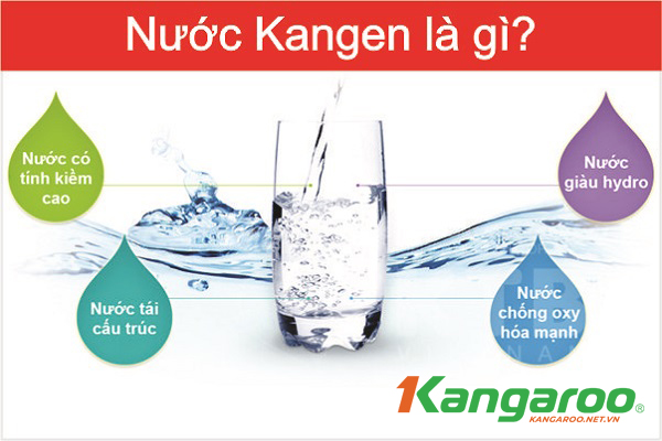 Kangen Water là gì? Bật mí những điều về nước Kangen